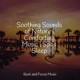 Album cover of Soothing Sounds of Nature | Comforting Music | Spa & Sleep