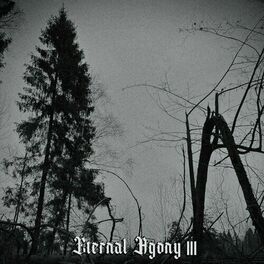 Album cover of Eternal Agony III