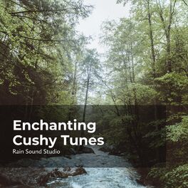Album cover of Enchanting Cushy Tunes