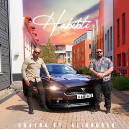 Album cover of HABIBTI