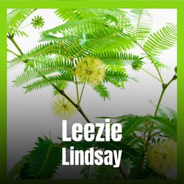 Album cover of Leezie Lindsay