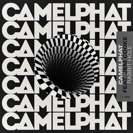 Album cover of Rabbit Hole
