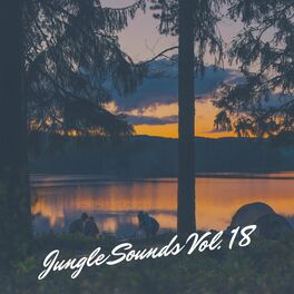 Album cover of Jungle Sounds Vol. 18
