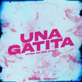Album cover of Una Gatita (Intro Dr Dre Still) [Remix]