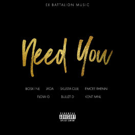 Album cover of Need You