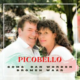 Album cover of Soms Dan Worden Dromen Waar