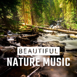 Download Zen Nature Library album songs: Healing Vibes