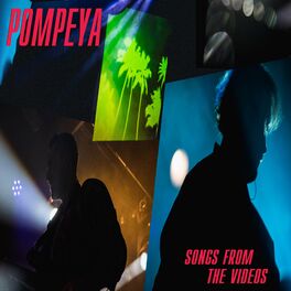 Album cover of Songs From The Videos