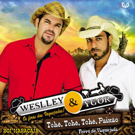 Album cover of Weslley & Ygor Forró De Vaquejada