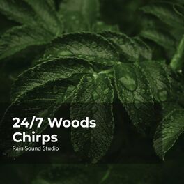 Album cover of 24/7 Woods Chirps