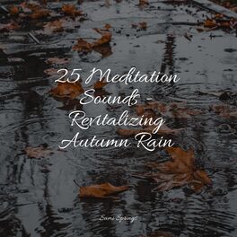 Album cover of 25 Meditation Sounds - Revitalizing Autumn Rain