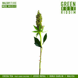 Album cover of GREEN ROSE RIDDIM
