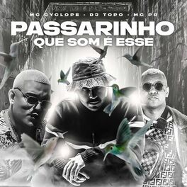 Album cover of Passarinho Que Som É Esse