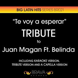 Album cover of Te Voy a Esperar - Tribute To Juan Magan And Belinda