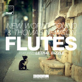 Album cover of Flutes (Radio Edit)