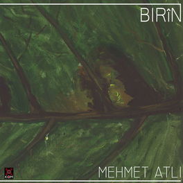 Album picture of Birîn