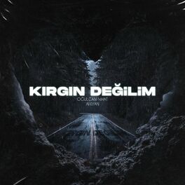 Album picture of Kırgın Değilim