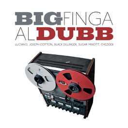 Album cover of BigDubb