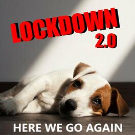 Album cover of Lockdown 2.0 Here We Go Again