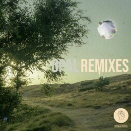 Album cover of Opal (Remixes)