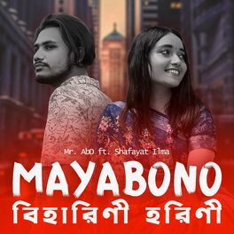 Album cover of Mayabono Biharini