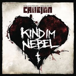 Album cover of Kind im Nebel