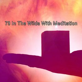 Album cover of 79 in the Wilds with Meditation