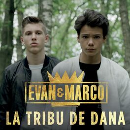Album cover of La tribu de Dana