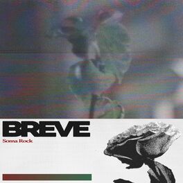 Album cover of Breve