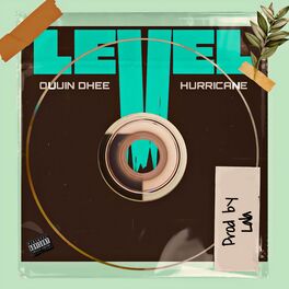 Album cover of Level