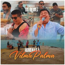Album cover of Homenaje A Vilma Palma