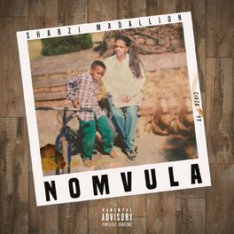 Album cover of Nomvula
