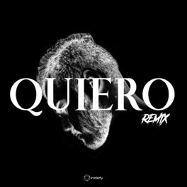 Album cover of Quiero (Remix)