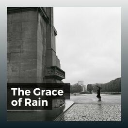 Album cover of The Grace of Rain
