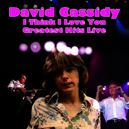 Album cover of I Think I Love You - Greatest Hits Live