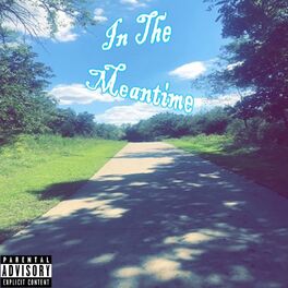 Album cover of In The Meantime