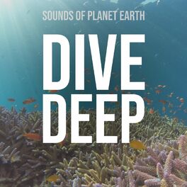 Album cover of Dive Deep