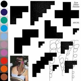 Album cover of Form Follows Function