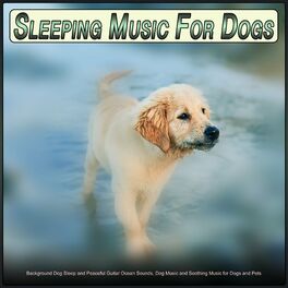 Album picture of Sleeping Music For Dogs: Background Dog Sleep and Peaceful Guitar Ocean Sounds, Dog Music and Soothing Music for Dogs and Pets