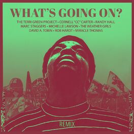 Album cover of What's Going On (Frank Blythe 4q Remix)