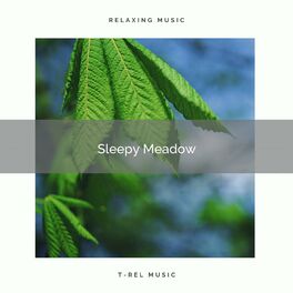 Album cover of 2022 Sleepy Meadow