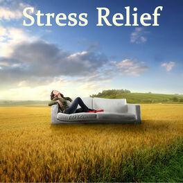 Album cover of Stress Relief
