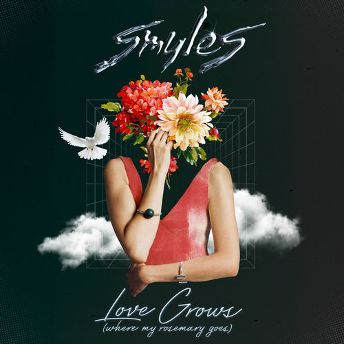 Smyles Love Grows (Where My Rosemary Goes) lyrics and songs Deezer