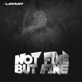 Album cover of Not Fine but Fine