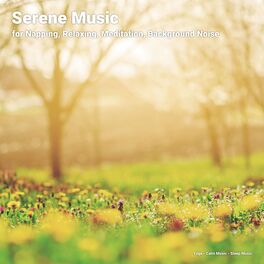 Album cover of Serene Music for Napping, Relaxing, Meditation, Background Noise