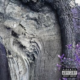 Album cover of Tree Carvings
