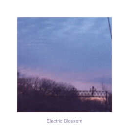 Album cover of Electric Blossom