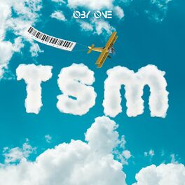 Album cover of TSM