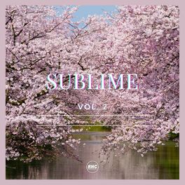 Album cover of Sublime Vol. 2