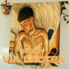 Album cover of VÍA LÁCTEA